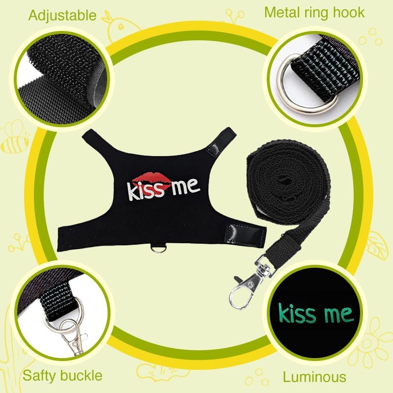 hokable Bearded Dragon Leash and Harness Adjustable - Bearded Dragon Leash and Harness Set with Lizard Luminous Leash for Amphibians Chameleons Small Pet Animals Outdoor Safety Walking（Black） - Image 5